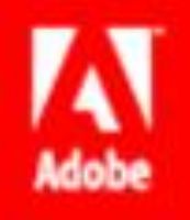 ADOBE SYSTEM INC