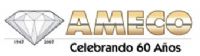 AMECO SERVICES, SRL CV