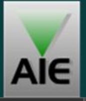 APLICACIONES DE INGENIERIA ELECTRONICA, SA CV