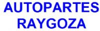 RAYGOSA AUTOPARTES SA CV