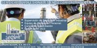 GRUPO SECSPA, SA CV