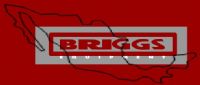 BRIGGS EQUIPAMENT, SA CV