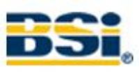 BSI GROUP MEXICO
