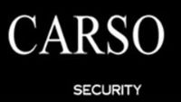CARSO SECURITY SOLUTIONS, SA CV