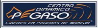 CENTRO DINAMICO PEGASO, SA CV