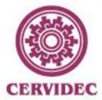 CERAMICA Y VIDRIO DECORABLES (CERVIDEC), SA CV