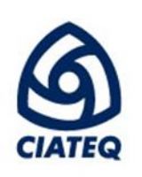 CENTRO DE TECNOLOGIA AVANZADA (CIATEQ), SA CV
