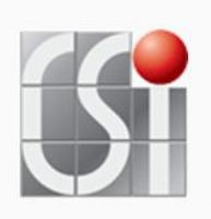 CSI DE MEXICO, SRL CV