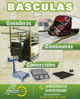 LIBRA SCALE, SA CV