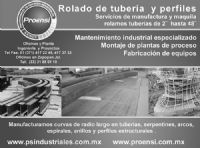 PROFESIONALES EN SERVICIOS INDUSTRIALES, SA CV