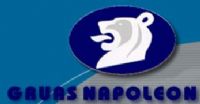 TRANSPORTACION ESPECIALIZADA Y GRUAS INDUSTRIALES NAPOLEON, SA CV