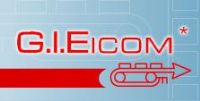GRUPO INTERNACIONAL EICOM, SA CV