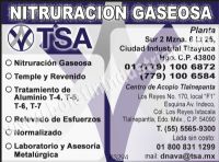 TSA SERVICIOS METALURGICOS, S RL CV