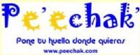 PE ECHACK, SA CV