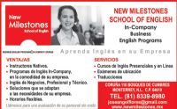 NEW MILESTONES SCHOOL OF ENGLISH, SA CV
