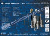 APISA FASTENERS, SA DE CV