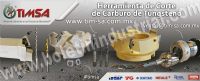 TECNOLOGIA INDUSTRIAL MEXICO, SA CV (TIMSA)