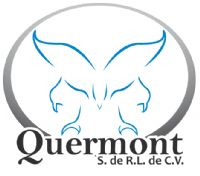 QUERMONT, S RL CV