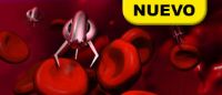 INGENIERO CREA HUESO SINTÉTICO BIOCOMPATIBLE PARA INSTALAR SENSORES