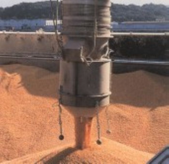 CARGADORES TELESCOPICOS