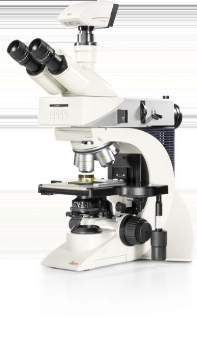 Microscopios