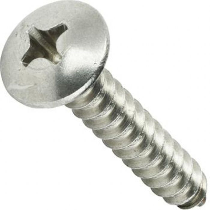 Phillips Truss Head Hoja de metal Tornillos Acero inoxidable 18-8 Cant