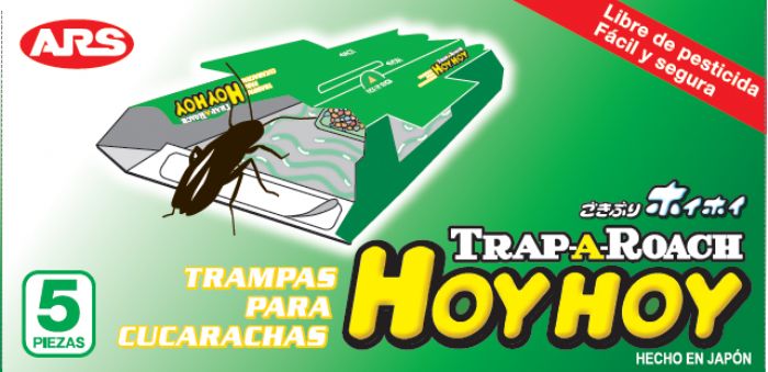 Hoy Hoy