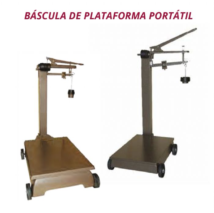 BASCULA DE PLATAFORMA