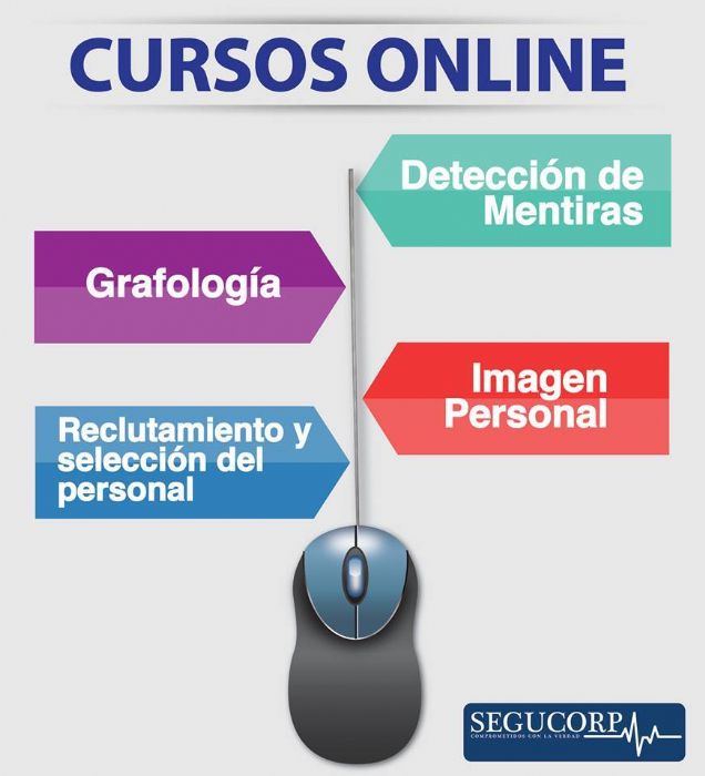 CURSOS ONLINE SEGUCORP