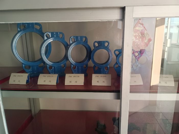Valve casting