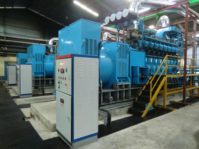 Cogeneracion de Energia