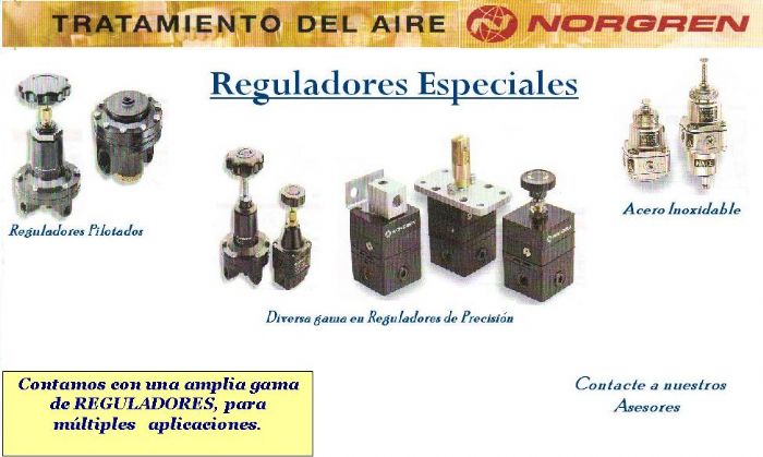 REGULADORES ESPECIALES