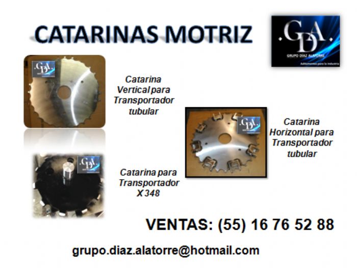 CATARINAS MOTRIZ
