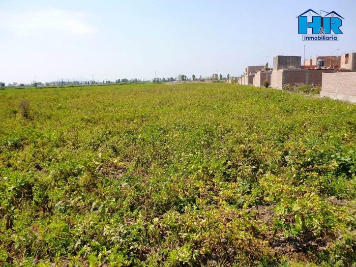 Terreno RURAL- AGRICOLA en LA HUACA- HUARAL