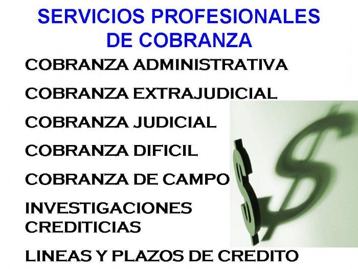 SERVICIOS PROFESIONALES EN COBRANZA 