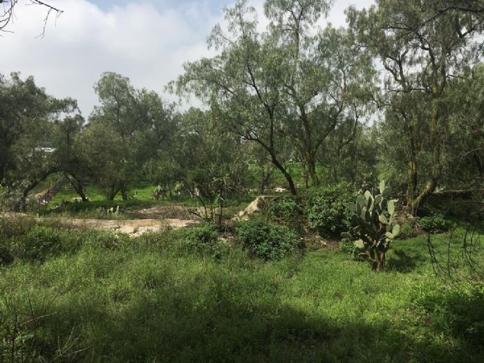 Terreno En Venta En San Sebastián, Zumpango