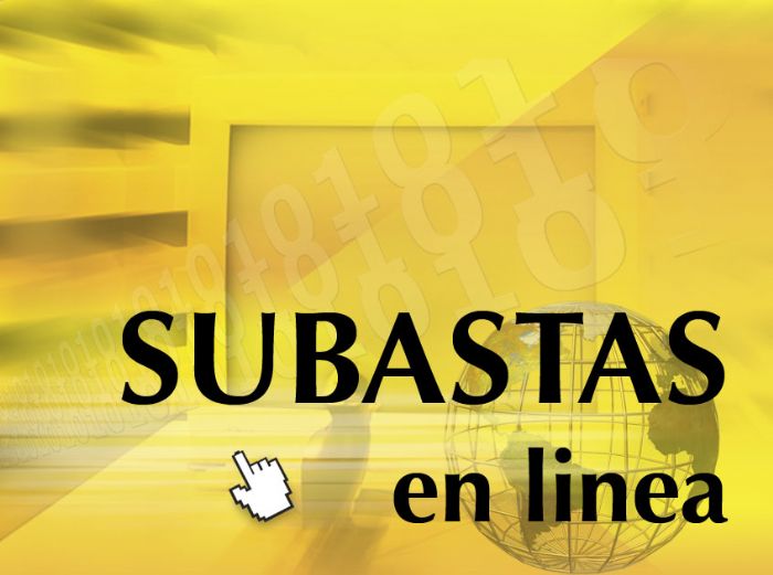 Subastas en linea 