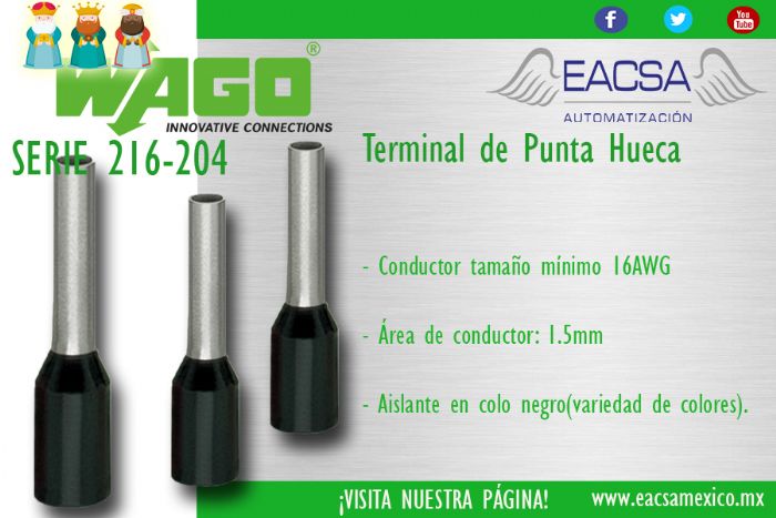 Ferrules