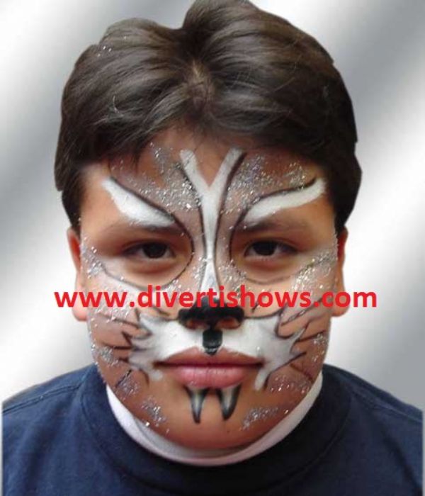 Pintacaritas con accesorios renta