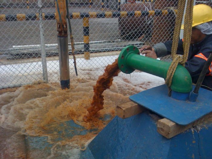 SEGURIDAD, SALUD Y PROTECCION AMBIENTAL
