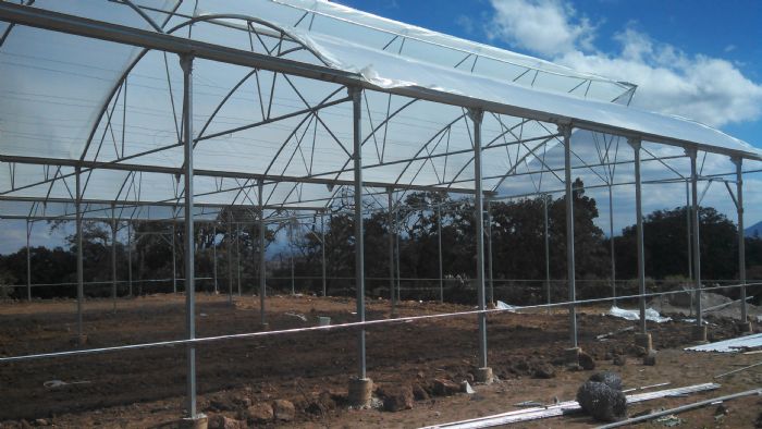 Invernaderos agricolas