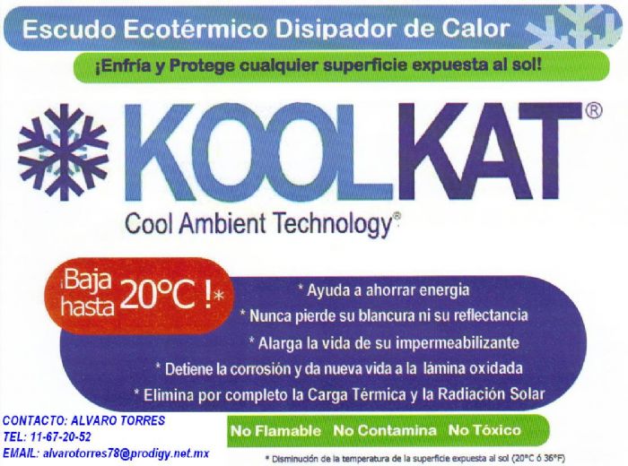 koolkat