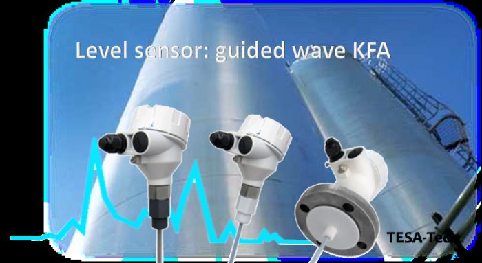 Guided wave sensor