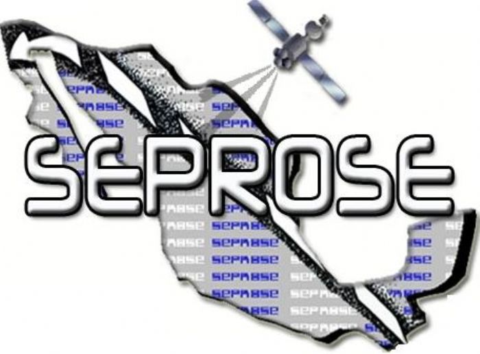 SERVICIOS DE CUSTODIA Y RESGUARDO