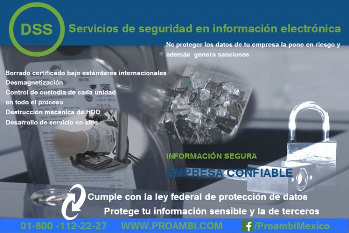 DSS Data Security Services