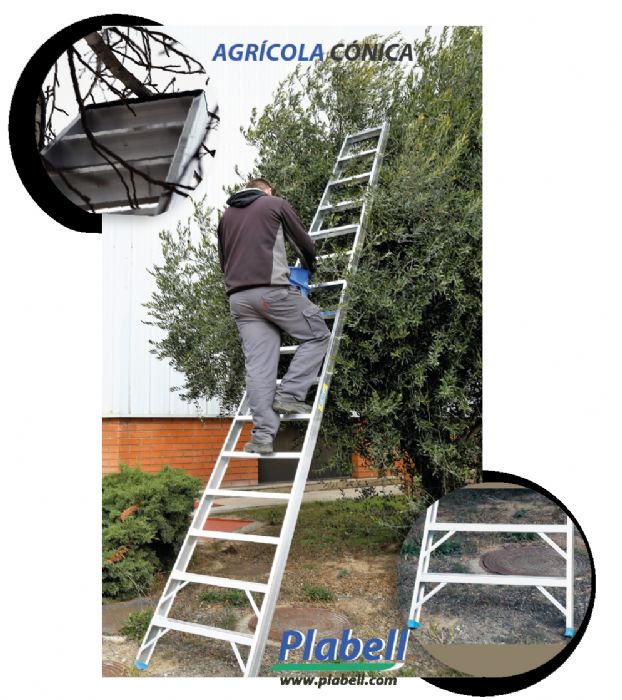 Escalera Agrícola Cónica