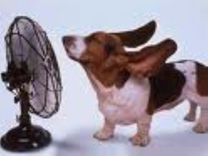 VENTILACION