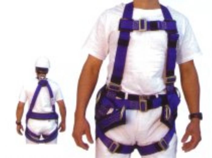 ARNES DE SEGURIDAD