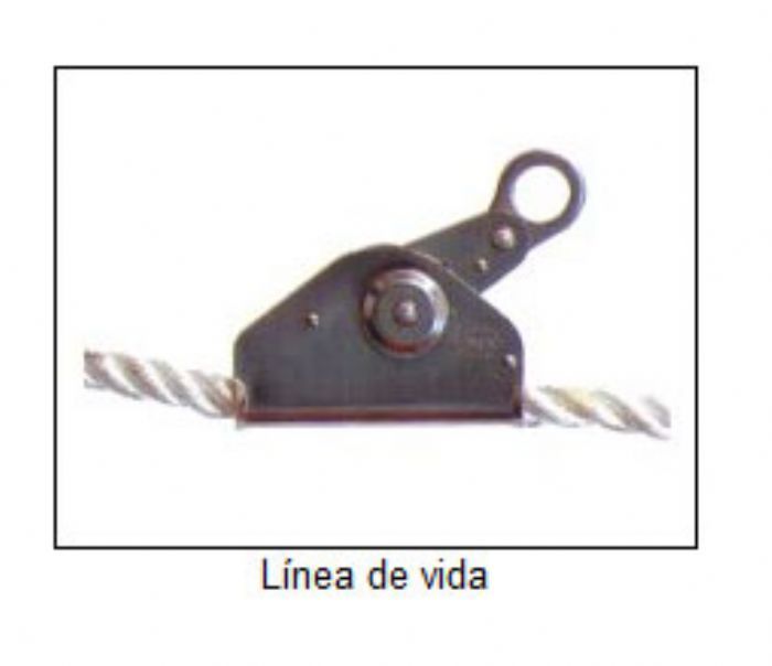 LINEAS DE VIDA