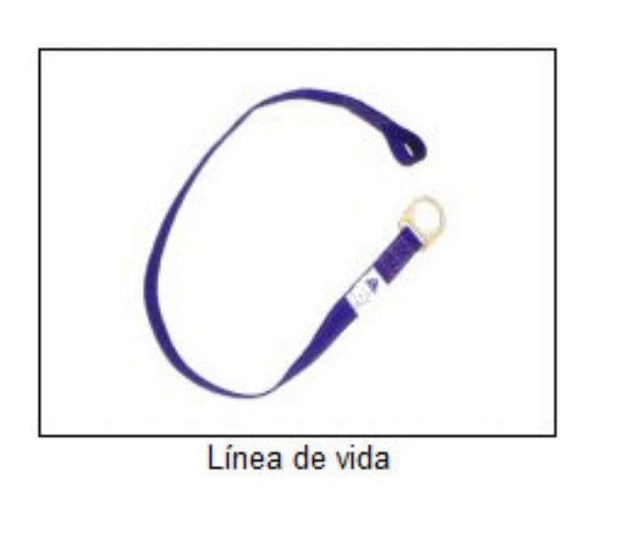 LINEA DE VIDA